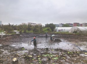 上城河道鱼塘清淤