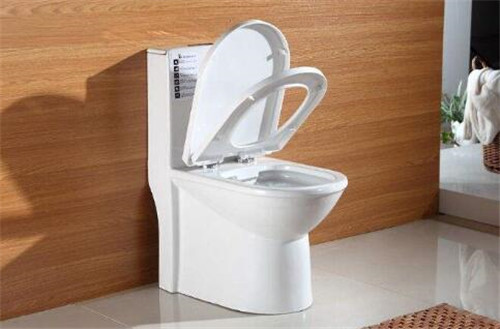 疏通马桶多少钱_疏通马桶_如何确认马桶堵塞原因